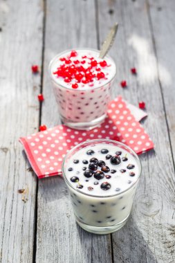 Kokteyl kırmızı meyve Siyah frenk üzümü tablo Bahçe