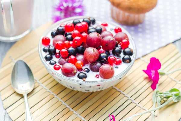 Frühstück Garten Früchte Johannisbeeren Stachelbeeren Buttermilch — Stockfoto