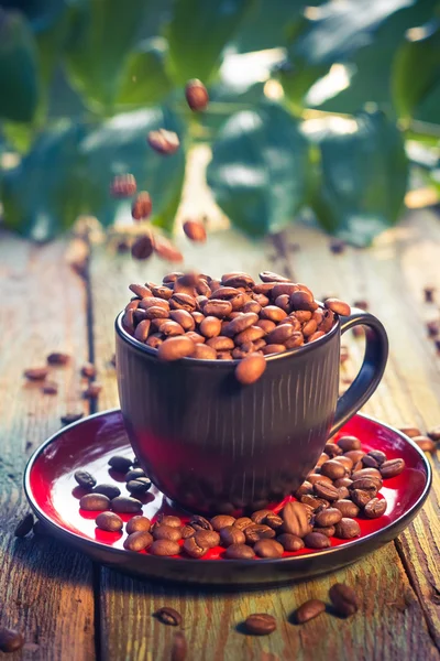 Bruine bonen gieten koffiekopje — Stockfoto