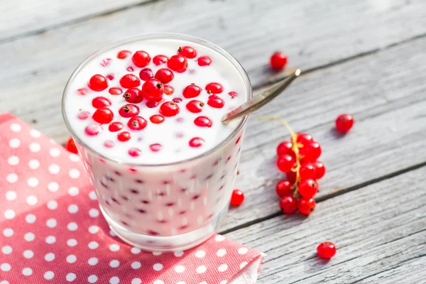 Buttermilch Früchte rote Johannisbeere Tisch Garten — Stockfoto