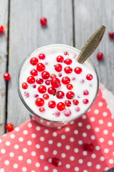 Buttermilch Früchte rote Johannisbeere Tisch Garten — Stockfoto