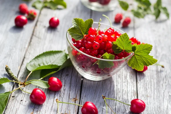 Table de cerises aux fruits fraîchement cueillis — Photo