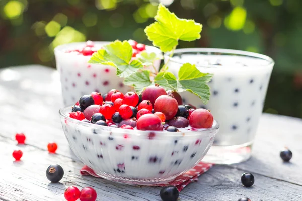 Spring garden cocktails fruit currants — Stock Photo, Image