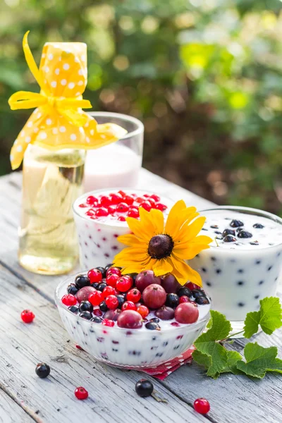 Frühling Garten Cocktails Früchte Johannisbeeren — Stockfoto