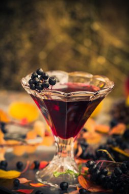 Hediyeler sonbahar mutfak tatlı aromatik içecek tentür chokeberry