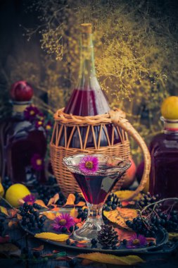 Hediyeler sonbahar mutfak tatlı aromatik içecek tentür chokeberry