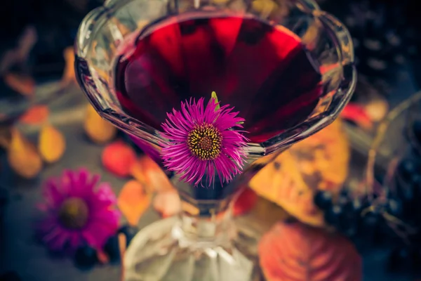 Aromatiska alkohol cup tinktur Aronia — Stockfoto