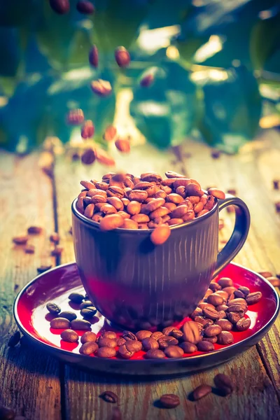 Bruine bonen gieten koffiekopje — Stockfoto