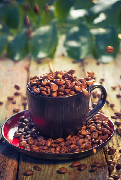 Bruine bonen gieten koffiekopje — Stockfoto