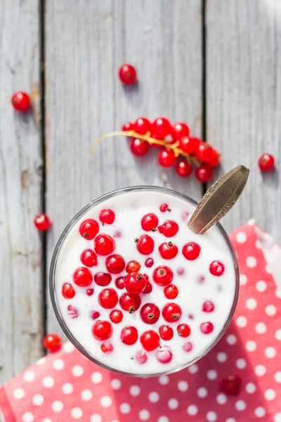 Buttermilch Früchte rote Johannisbeere Tisch Garten — Stockfoto