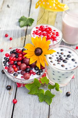 Bahar bahçe kokteyller kuş üzümü meyve