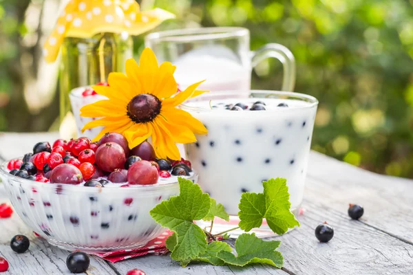 Cocktails de jardin de printemps groseilles aux fruits — Photo