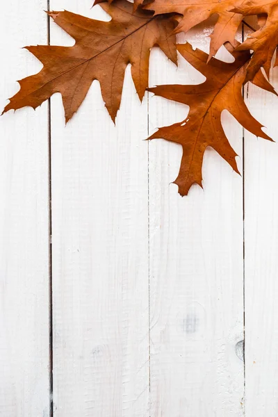 Brown foglie bianco tavole composizione autunno — Foto Stock