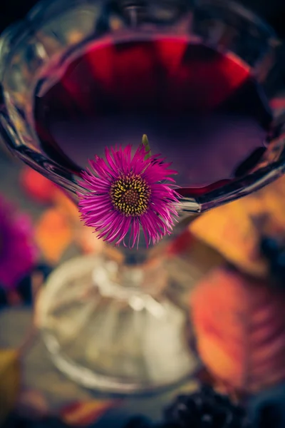 Tintura di alcol aromatico chokeberry — Foto Stock