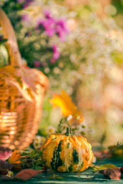 Sonbahar sepeti sonbahar hasat Bahçe kabak meyve renkli çiçek