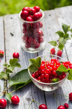 Taze meyve kuş üzümü kiraz tablo aldı