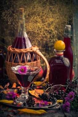 Hediyeler sonbahar mutfak tatlı aromatik içecek tentür chokeberry