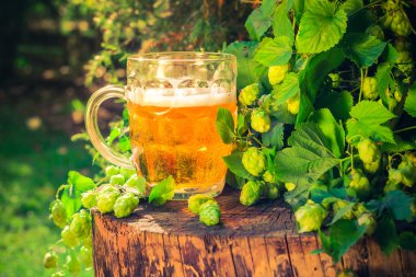 Bira bardağı altın bira ahşap gövde