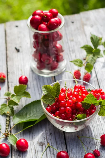 Mesa de cerezas de grosellas de frutas recién recogidas —  Fotos de Stock