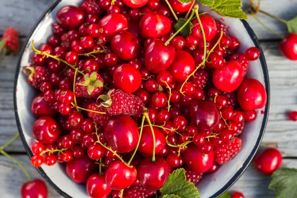 Fruchtschale voll Kirschen Johannisbeeren — Stockfoto