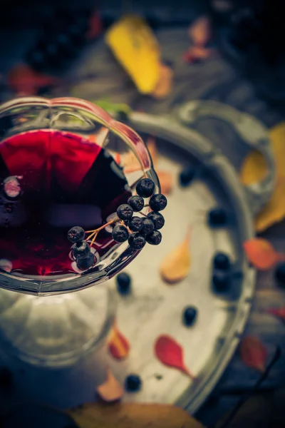 Glas tinctuur chokeberry herfst vintage styling — Stockfoto