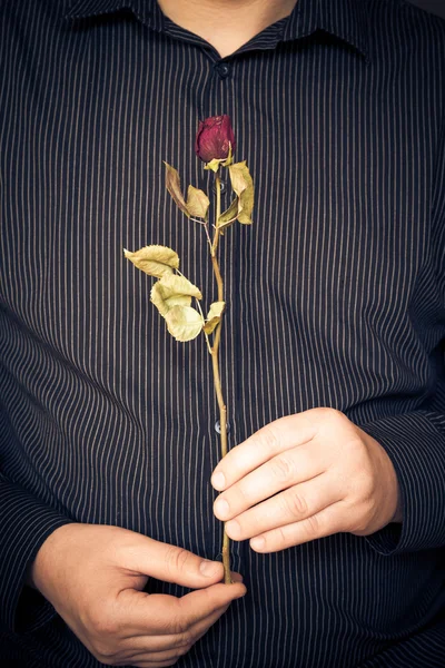 Man shirt bedrijf rode roos — Stockfoto