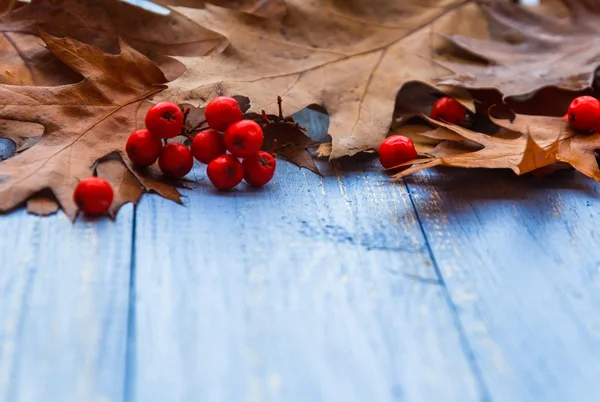 Jahrgang Zusammensetzung Herbst Obst Holz Hintergrund — Stockfoto