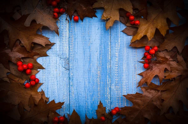 Vintage composizione autunno frutta organizzato cerchio in legno backgrou — Foto Stock