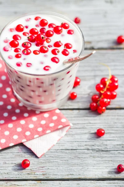 Buttermilk fruit red currant table garden — Stock Photo, Image