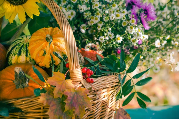 Fall basket autumn harvest garden pumpkin fruits colorful flower — Stock Photo, Image