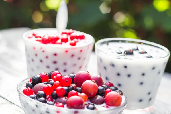 Cocktails de jardin de printemps groseilles aux fruits — Photo