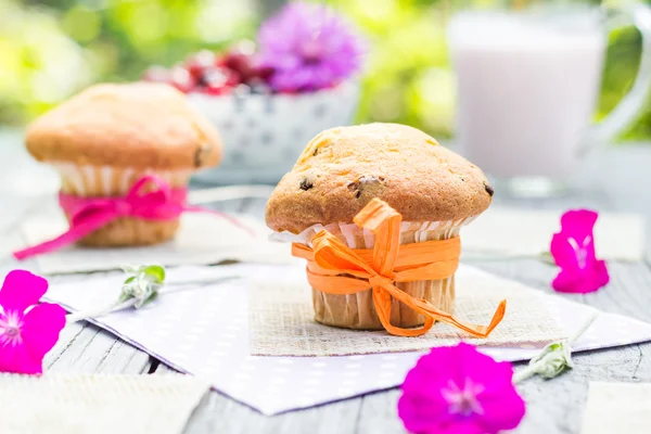 Verano muffins jardín cóctel de frutas — Foto de Stock