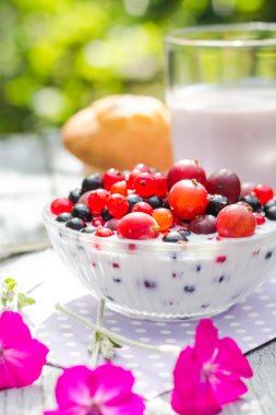 Kahvaltı Bahçe meyve kuş üzümü bektaşi ayran