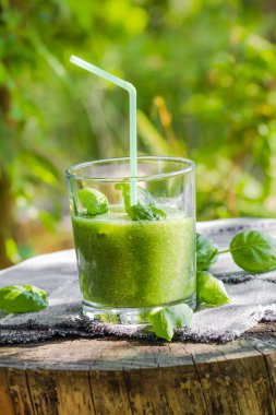 Yeşil smoothie taze salatalık kereviz fesleğen