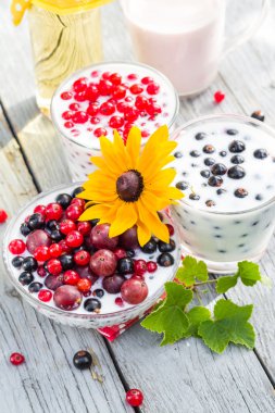 Bahar bahçe kokteyller kuş üzümü meyve