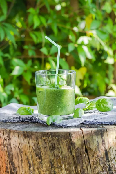 Fresh mousse cucumber celery basil — Stock Photo, Image