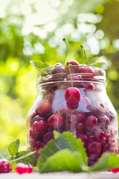 Botol kaca penuh buah ceri dan raspberry — Stok Foto