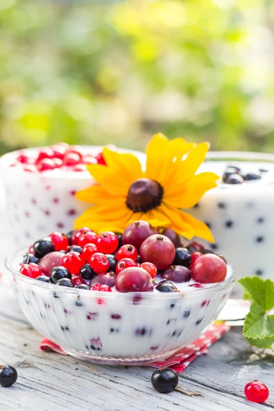 Primavera jardín cócteles frutas grosellas —  Fotos de Stock