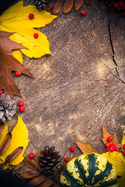 Autumn background gifts nature wood — Stock Photo, Image