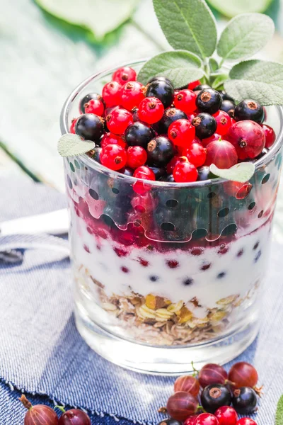 Gesunde Ernährung Müsli bunt frisches Obst — Stockfoto