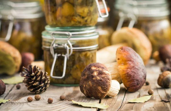 Autumn harvest forest preparation pickled mushrooms — Stock Photo, Image