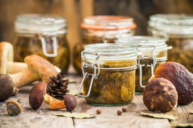 Sonbaharda hasat orman hazırlığı mantar salamura