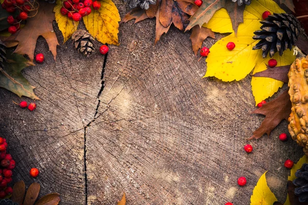 Autumn background gifts nature wood — Stock Photo, Image