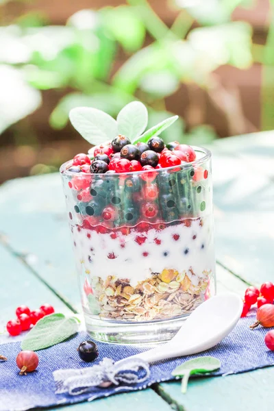 Repas du matin nutritif muesli fruits frais — Photo