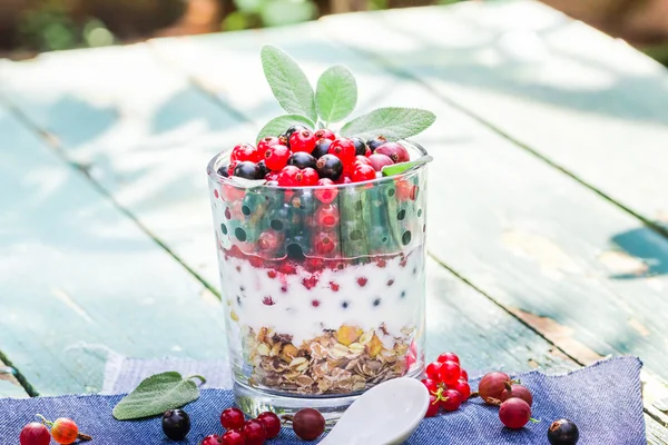 Výživná ranní jídlo müsli čerstvé ovoce — Stock fotografie