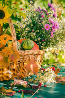 Sonbahar sepeti sonbahar hasat Bahçe kabak meyve renkli çiçek