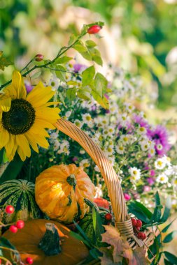 Sonbahar sepeti sonbahar hasat Bahçe kabak meyve renkli çiçek