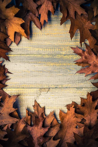 Vintage composizione autunno frutta organizzato cerchio in legno backgrou — Foto Stock