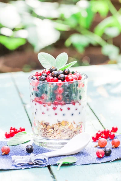 Repas du matin nutritif muesli fruits frais — Photo