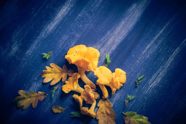 秋天的背景 蓝色木板上的卷发和秋季礼物 — 图库照片